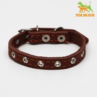 Ошейник кожаный однослойный, безразмерный, 37 х 1.5 см, ОШ 21-32 см, коричневый - Фото 1