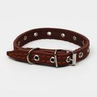 Ошейник кожаный однослойный, безразмерный, 37 х 1.5 см, ОШ 21-32 см, коричневый - Фото 2