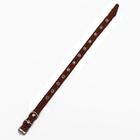 Ошейник кожаный однослойный, безразмерный, 37 х 1.5 см, ОШ 21-32 см, коричневый - Фото 3