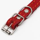 Ошейник кожаный однослойный, безразмерный, 37 х 1.5 см, ОШ 21-32 см, красный - Фото 4