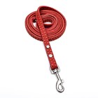 Поводок кожаный однослойный, простроченный, 1.37 м х 1 см, красный - фото 21299287