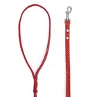 Поводок кожаный однослойный, простроченный, 1.37 м х 1 см, красный - фото 21299288