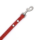 Поводок кожаный однослойный, простроченный, 1.37 м х 1 см, красный - фото 23938874