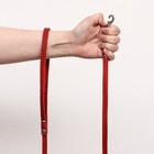 Поводок кожаный однослойный, простроченный, 1.37 м х 1 см, красный - фото 23938876