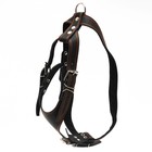 Шлейка кожаная «Караульная» на фетре, 3.6 см, ОШ 40-74 см, ОГ 95-110 см, чёрная - Фото 1