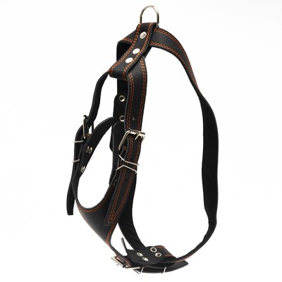 Шлейка кожаная «Караульная» на фетре, 3.6 см, ОШ 40-74 см, ОГ 95-110 см, чёрная