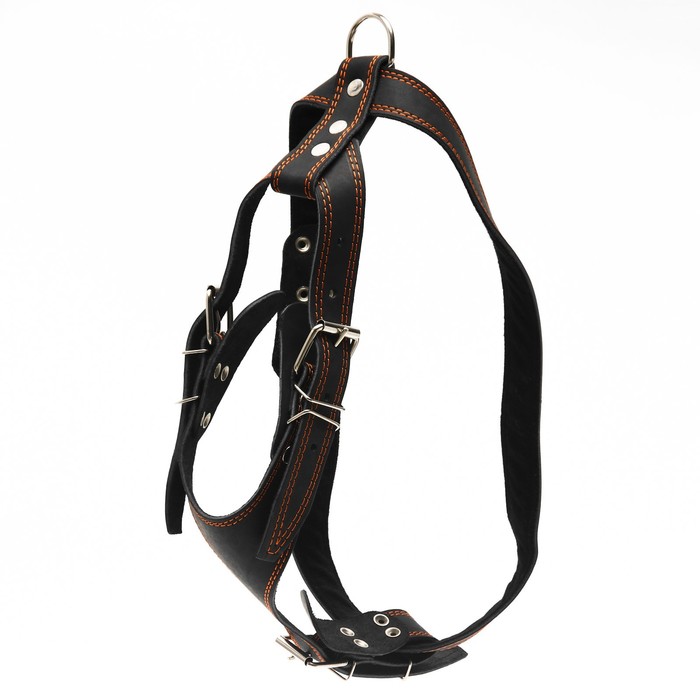 Шлейка кожаная «Караульная» на фетре, 3.6 см, ОШ 40-74 см, ОГ 95-110 см, чёрная - Фото 1