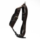 Шлейка кожаная «Караульная» на фетре, 3.6 см, ОШ 40-74 см, ОГ 95-110 см, чёрная - Фото 2