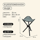 Стул туристический Maclay, р. 28х26х36 см, до 60 кг, цвет тёмно-серый - Фото 3