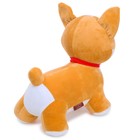 Мягкая игрушка «Собачка Корги Рокс», 30 см - Фото 2