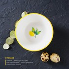 Рамекин из жаропрочной керамики Доляна «Лимон», 250 мл, d=11,4 см, цвет белый - фото 4328447