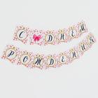 Гирлянда бумажная «С днём рождения», маленькая мисс - фото 21301388