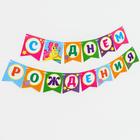 Гирлянда бумажная «С днём рождения», пони - фото 35430499