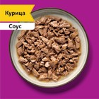 Влажный корм Whiskas Meaty для кошек, курица, 75 г - Фото 10