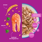 Влажный корм Whiskas Meaty для кошек, лосось, 75 г - Фото 4