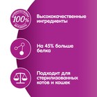 Влажный корм Whiskas Meaty для кошек, лосось, 75 г - Фото 8