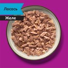 Влажный корм Whiskas Meaty для кошек, лосось, 75 г - Фото 10