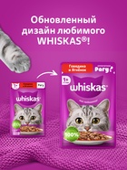 Влажный корм Whiskas для кошек, рагу говядина/ягненок, 75 г - Фото 8