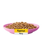 Влажный корм Whiskas для котят, рагу курица, 75 г - Фото 4
