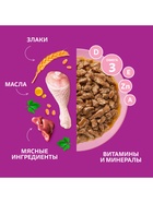 Влажный корм Whiskas для котят, рагу курица, 75 г - Фото 5
