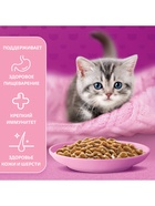 Влажный корм Whiskas для котят, рагу курица, 75 г - Фото 6