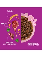Влажный корм Whiskas для котят, рагу ягненок, 75 г - Фото 5