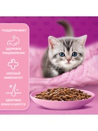 Влажный корм Whiskas для котят, рагу ягненок, 75 г - Фото 6