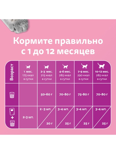 Влажный корм Whiskas для котят, рагу ягненок, 75 г