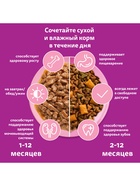 Влажный корм Whiskas для котят, рагу ягненок, 75 г - Фото 8
