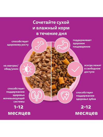 Влажный корм Whiskas для котят, рагу ягненок, 75 г