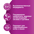 Влажный корм Whiskas для кошек 7+ рагу с курицей, 75 г - Фото 8