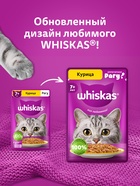 Влажный корм Whiskas для кошек 7+ рагу с курицей, 75 г - Фото 8