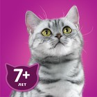 Влажный корм Whiskas для кошек 7+ рагу с курицей, 75 г - Фото 9