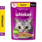 Влажный корм Whiskas для кошек, с курицей, желе, 75 г - фото 304539525