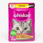 Влажный корм Whiskas для кошек, с курицей, желе, 75 г - Фото 1