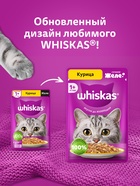Влажный корм Whiskas для кошек, с курицей, желе, 75 г - Фото 7