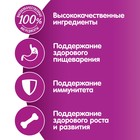 Влажный корм Whiskas для котят, курица, паштет, 75 г - Фото 8