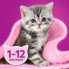 Влажный корм Whiskas для котят, курица, паштет, 75 г - Фото 9