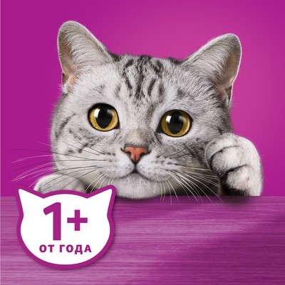 Влажный корм Whiskas для кошек, утка, паштет, 75 г