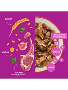 Влажный корм Whiskas для кошек, говядина/ягненок в желе, пауч, 75 г - Фото 4
