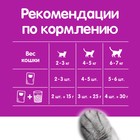 Влажный корм Whiskas для кошек, говядина/ягненок в желе, пауч, 75 г - Фото 6