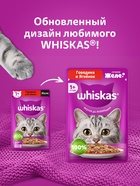 Влажный корм Whiskas для кошек, говядина/ягненок в желе, пауч, 75 г - Фото 7