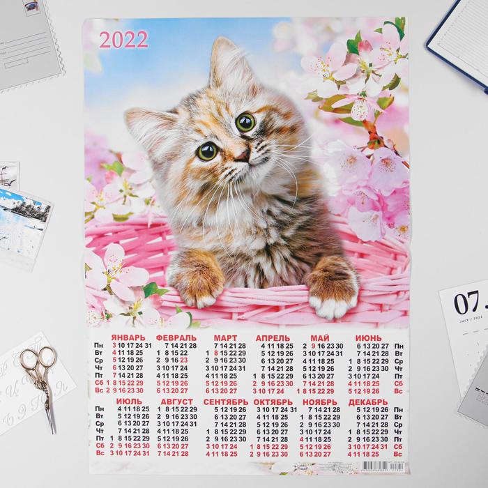 Календарь листовой А2 "Кошки 2022 - 2" - Фото 1