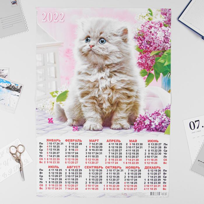 Календарь листовой А2 "Кошки 2022 - 4" - Фото 1