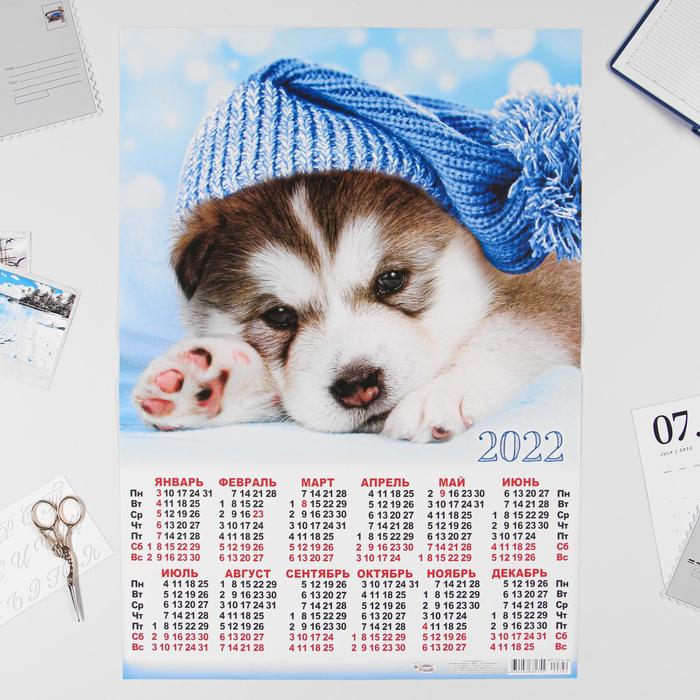 Календарь листовой А2 "Собаки 2022 - 3" - Фото 1