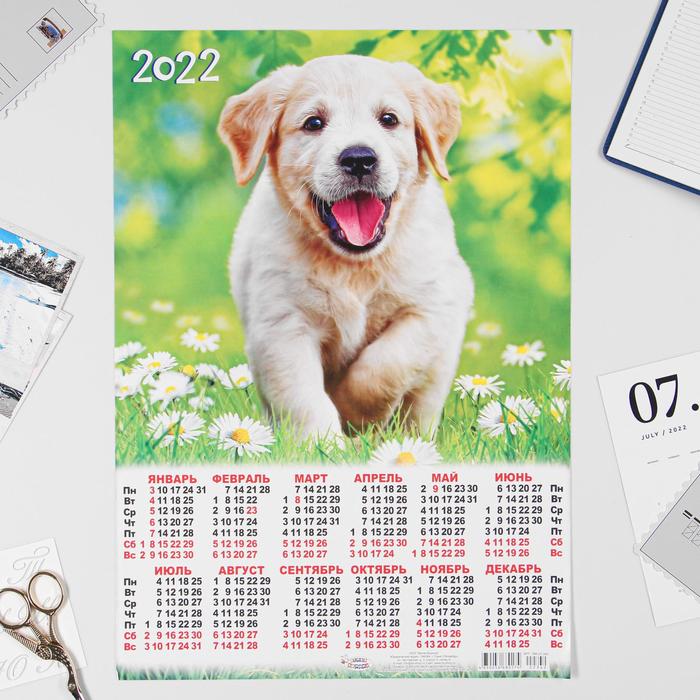 Календарь листовой А3 "Собаки 2022 - 1" - Фото 1