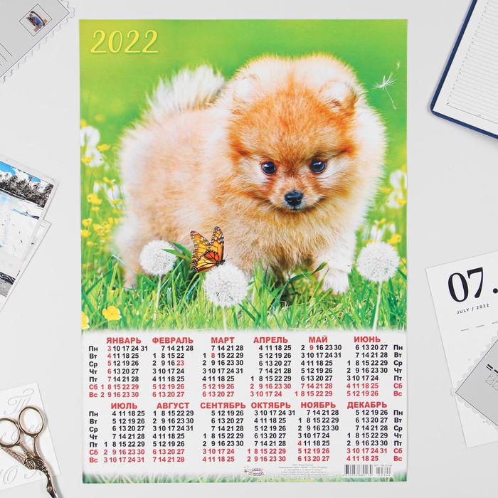 Календарь листовой А3 "Собаки 2022 - 3" - Фото 1