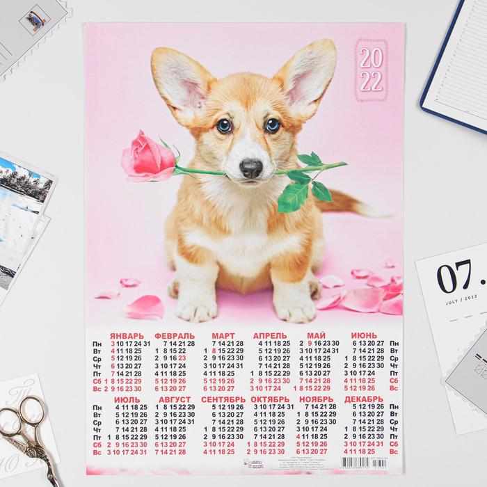 Календарь листовой А3 "Собаки 2022 - 4" - Фото 1