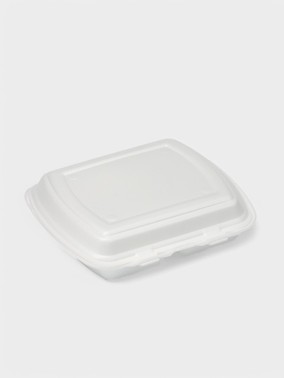 Ланч - бокс одноразовый, 24,7×20,6×7 см, 2 секции, белый
