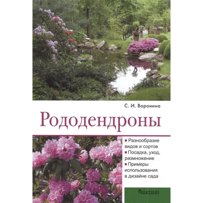 Рододендрон вечнозеленый: описание, применение в ландшафтном дизайне, посадка и уход